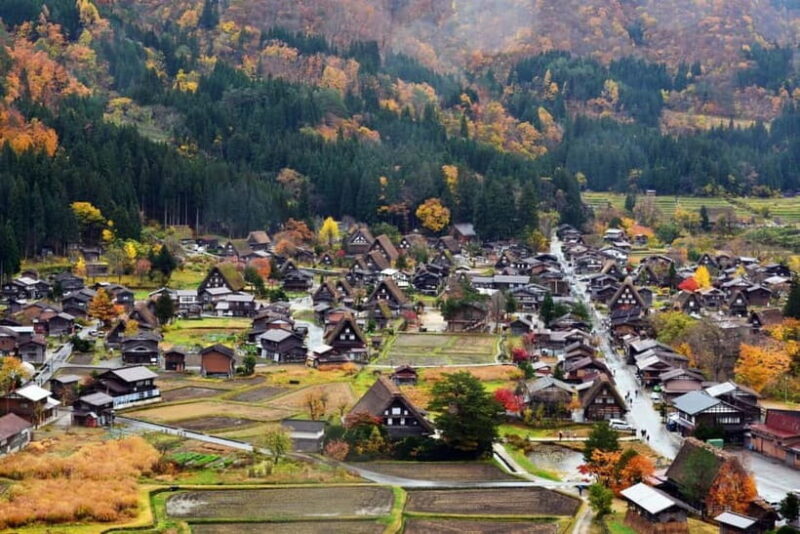 Nagoya: Shirakawa-go, Gujo, Hida Takayama Historic Day Tour - The Sum Up: Who Will Love This Tour?