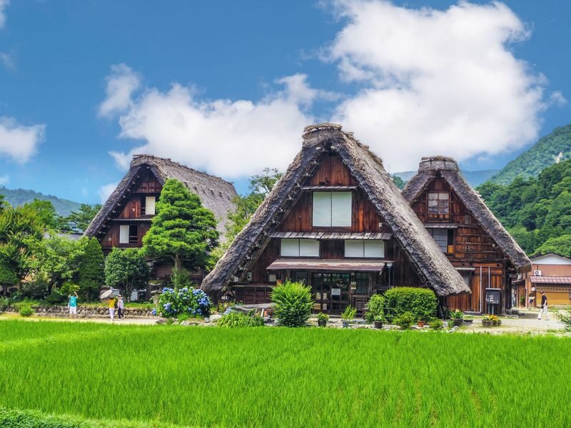 Nagoya Shirakawa-go & Hida Takayama One-Day Tour - Three Gifu stops in one long day