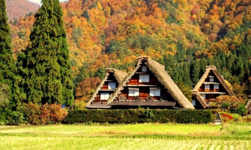 Nagoya Shirakawa-go & Hida Takayama One-Day Tour - What the price buys you