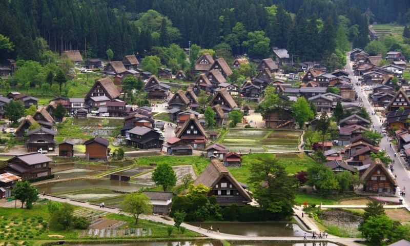 Nagoya Shirakawa-go & Hida Takayama One-Day Tour - Should you book this Nagoya day tour?