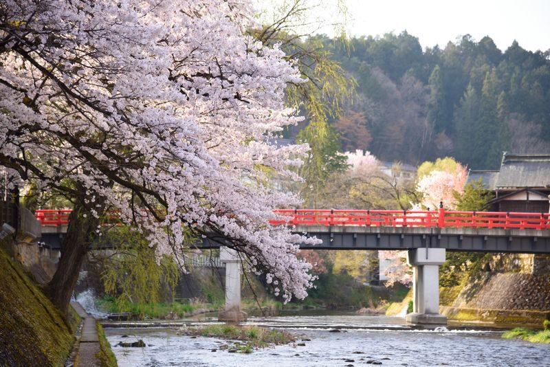 Nagoya Shirakawa-go & Takayama Jinya Full-Day UNESCO Tour - What the staff do, and what you should not expect