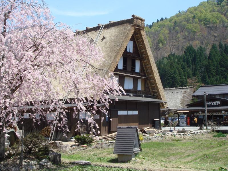 Nagoya Shirakawa-go & Takayama Jinya Full-Day UNESCO Tour - Who should book this day trip?