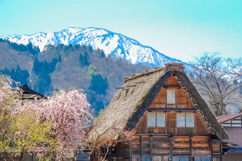Nagoya Shirakawa-go & Takayama Jinya Full-Day UNESCO Tour - Practical details before you book