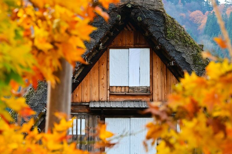 Nagoya Shirakawa-go & Takayama Jinya Full-Day UNESCO Tour - Should you book it?