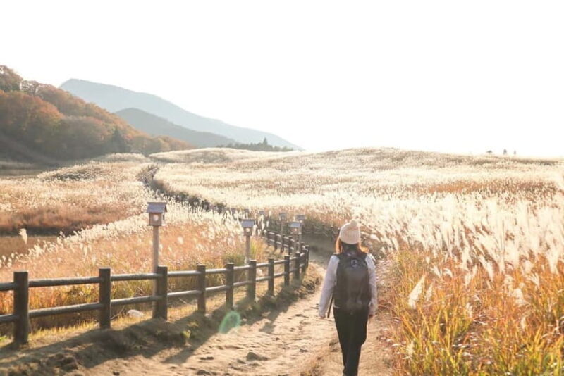 Nagoya: Soni Highlands & Akame 48 Waterfalls Guided Hike - An In-Depth Look at the Tour Experience