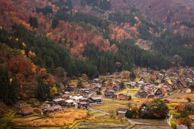 Nagoya: Takayama & Shirakawa-go Day Trip w/ Hida Pork Lunch - Transportation and Group Dynamics