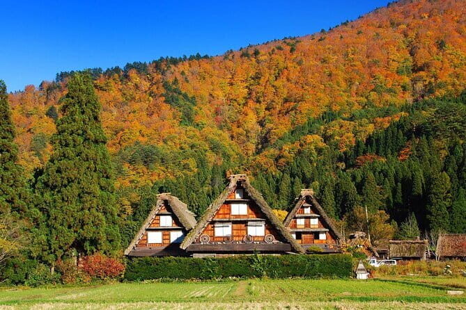 Nagoya to Hida Takayama, Shirakawa-go Gassho Village Day Tour - An In-Depth Look at the Tour Experience