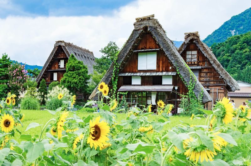 Nagoya to Shirakawa-go & Hida-Takayama Day Tour (including Hida beef meal) - How the price earns its keep