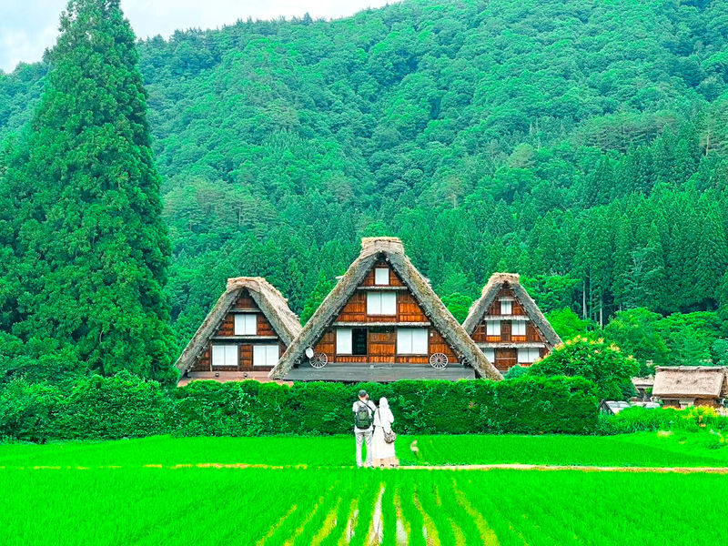 Nagoya World Heritage Shirakawa-go & Kanazawa Castle 2-Day Tour - Takayama brings a slower first taste of the region