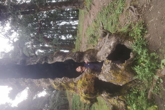 Nagtibba Trek (Pantwari to Pantwari) - Frequently Asked Questions