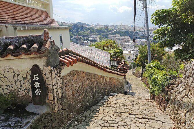 Naha and South Okinawa Private  Hour Tour with Local Guide - FAQ