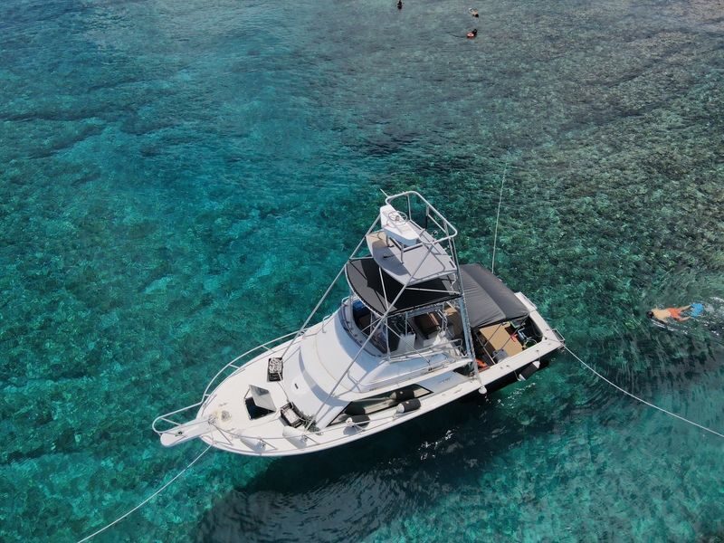 Naha Departure: Half-Day Fishing Tour for Beginners - Fishing lessons on Naha’s nearshore waters
