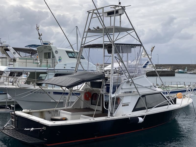 Naha Departure: Half-Day Fishing Tour for Beginners - Three hours, with time for the ride out and back