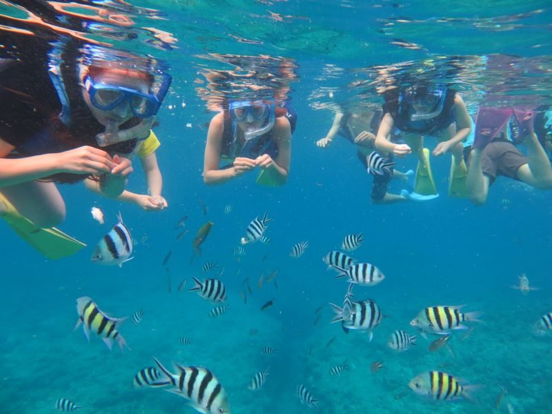Naha Kerama Half Day Snorkeling (Pickup service included) - Clear water, coral, and a chance of turtles