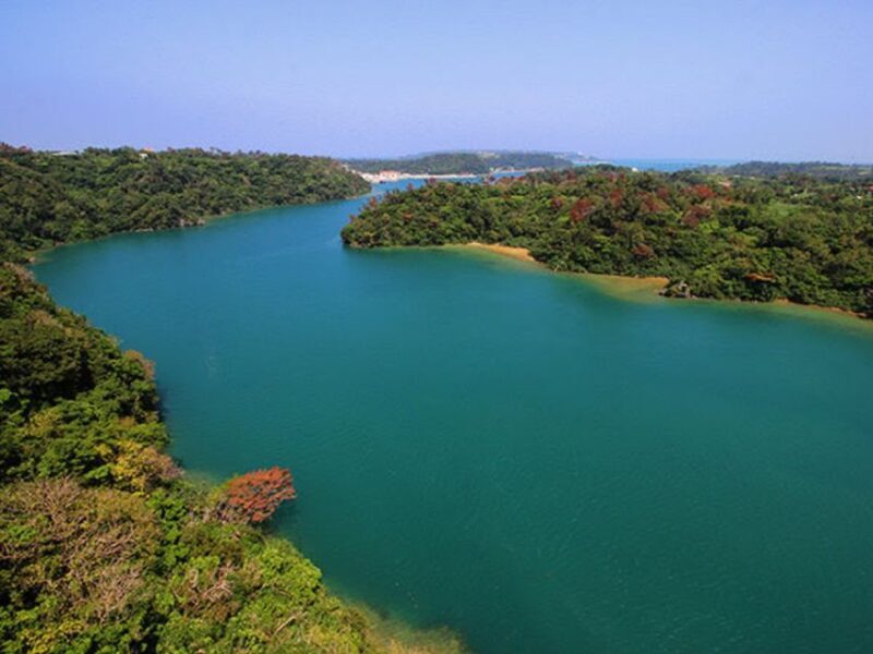 Naha: North Okinawa Sightseeing Tour & Churaumi Aquarium - Key Points