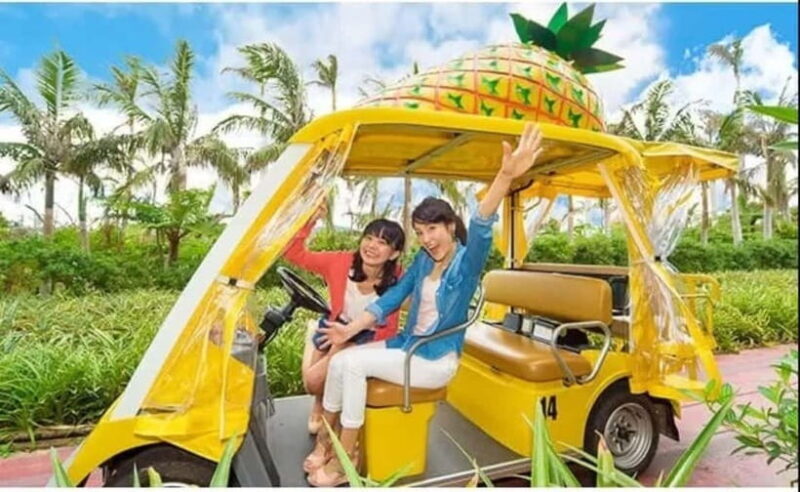 Naha: North Okinawa Sightseeing Tour & Churaumi Aquarium - Who Will Love This Tour?