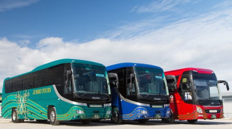 Naha: North Okinawa Sightseeing Tour & Churaumi Aquarium - The Sum Up: Is This Tour Right for You?