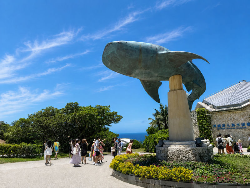 Naha Okinawa Churaumi Aquarium & AEON Mall Rycom Full-Day Tour - Key points to know