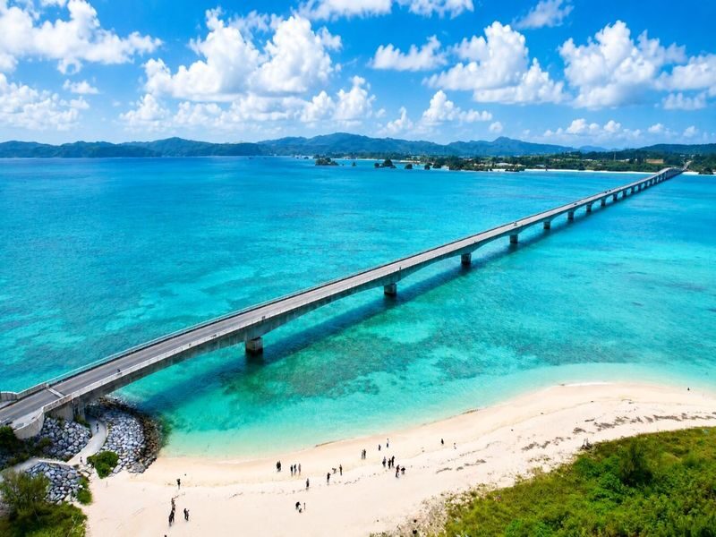 Naha Okinawa Churaumi Aquarium & AEON Mall Rycom Full-Day Tour - Two very different Okinawa stops in one day