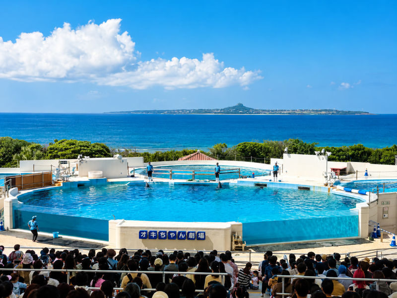 Naha Okinawa Churaumi Aquarium & AEON Mall Rycom Full-Day Tour - The Rycom stop changes the rhythm