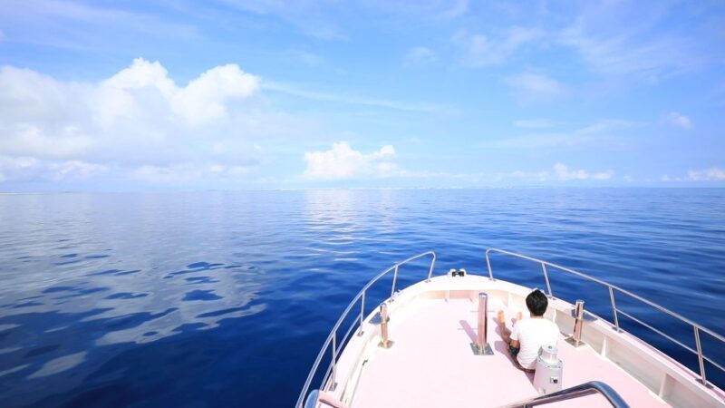 Naha, Okinawa: Kerama Islands Half-Day Whale Watching Tour - Key Points