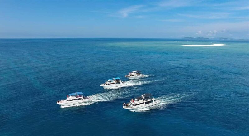 Naha, Okinawa: Kerama Islands Half-Day Whale Watching Tour - FAQ