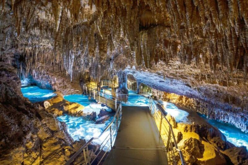 Naha: Southern Okinawa,Scenic view,fruit picking,BBQ Lunch - In-Depth Review of Your Okinawa Day Tour