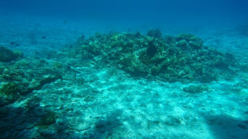 Naha: Tokashiki Day Trip & Kerama Islands Scuba Diving Trip - Authentic Experiences and Real Traveler Perspectives