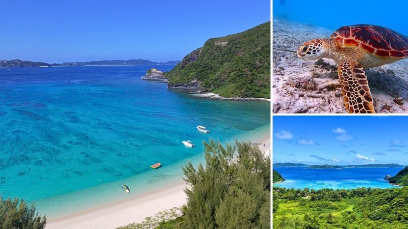 Naha Tokashiki Island Beach One-Day Experience - Is it a good fit for you?