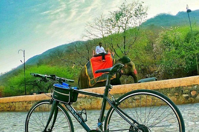 Nahargarh Cycle Tour in Jaipur - Who Will Love This Tour?