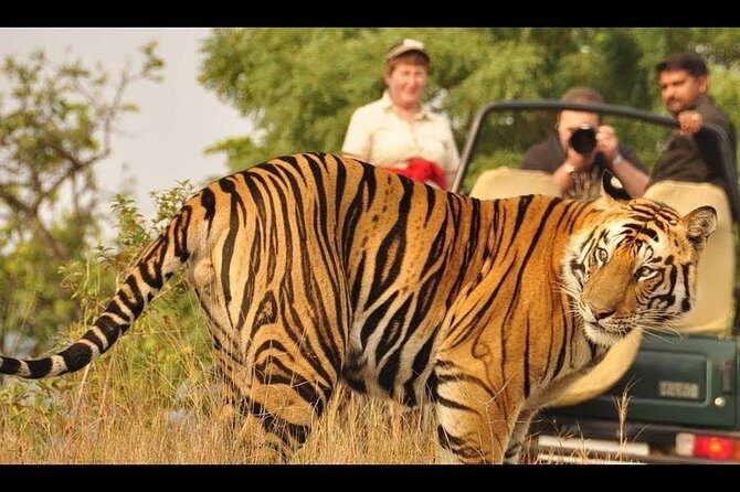 Nainital Jim Corbett 4 Days Tour Package From Delhi - Frequently Asked Questions (FAQs)