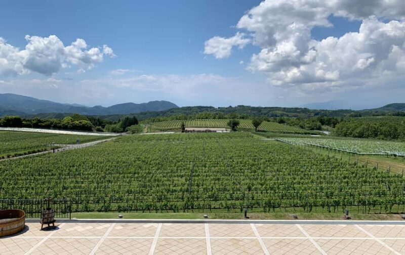 Naka-Izu:2Days Gourmet Journey Wasabi, Wine, Tea, Glamping - Key Points