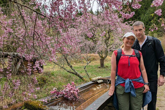 Nakasendo Magome Private Hiking Tour Guide & Car from Nagoya - Key Points