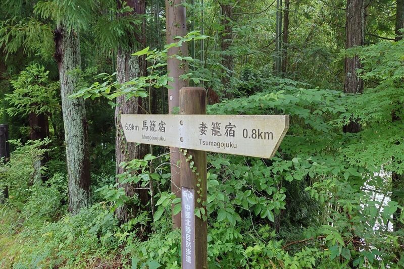 Nakasendo Trail One Day Walking Tour from Matsumoto - The 8 km trail: cobbles, cedar forest, and waterfalls