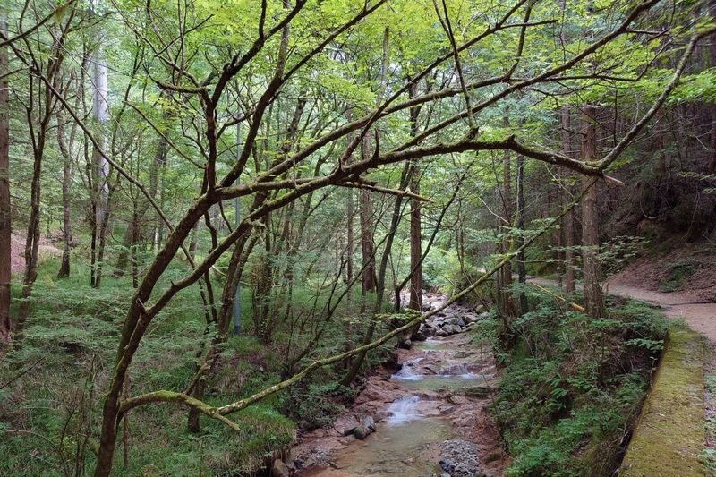 Nakasendo Trail One Day Walking Tour from Matsumoto - What the price includes, and who gets the best value