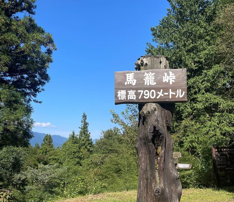 Nakatsugawa Nakasendo Trail Half-Day Guided Tour - Tsumago and the value of a private guide
