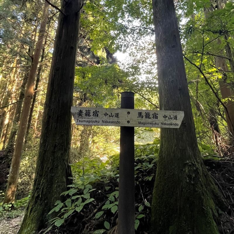 Nakatsugawa Nakasendo Trail Half-Day Guided Tour - What the half-day label means for your plans