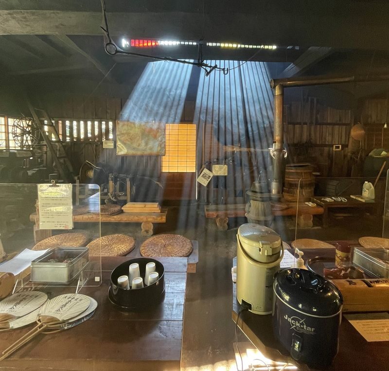 Nakatsugawa Nakasendo Trail Half-Day Guided Tour - Who should book this walk?