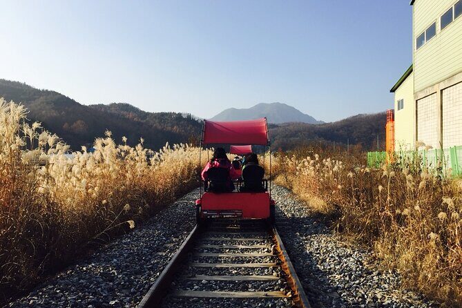 Nami Island and Begonia Bird Park Tour from Seoul (opt Railbike) - Discovering Gapyeong: What You Can Expect