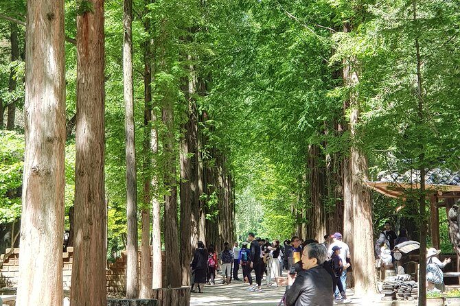 Nami Island and Petite France - Filming location - Key Points