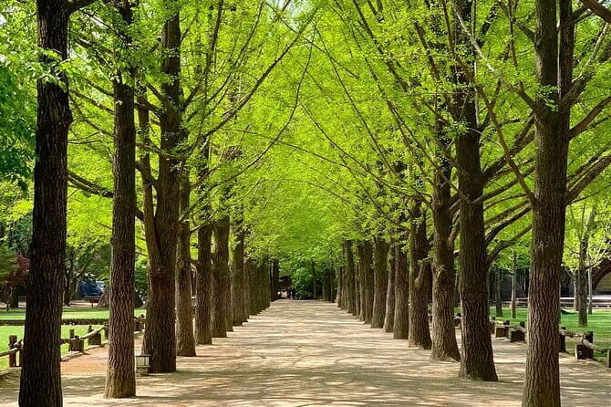 Nami Island and Petite France Private Tour - Key Points