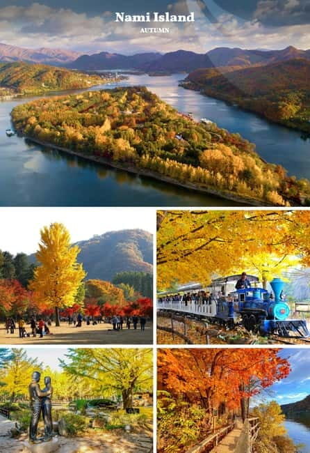 Nami Island, Apple Picking & Railbike Day Trip from Seoul - Key Points