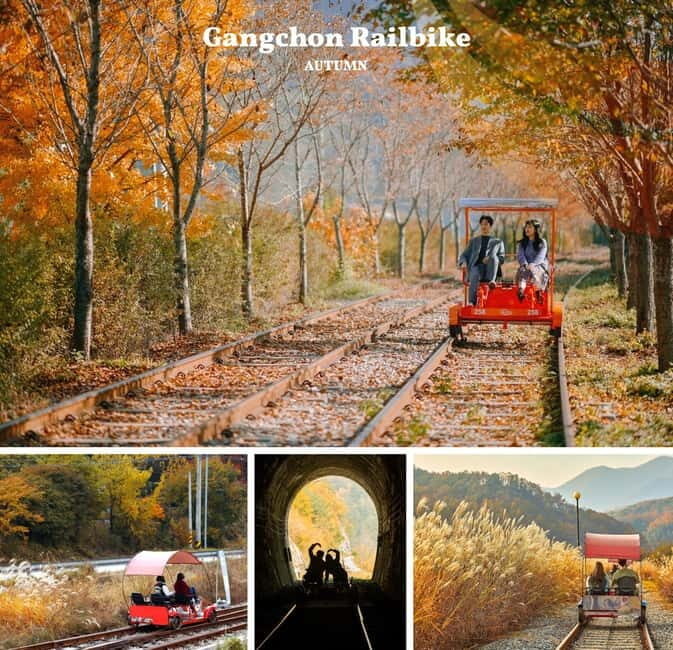 Nami Island, Apple Picking & Railbike Day Trip from Seoul - Who Will Love This Tour?