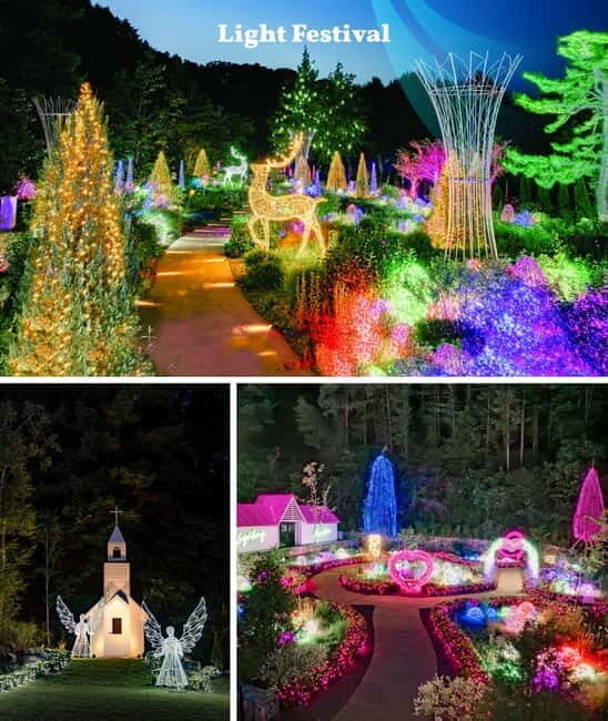 Nami Island, Apple Picking & Railbike Day Trip from Seoul - The Sum Up