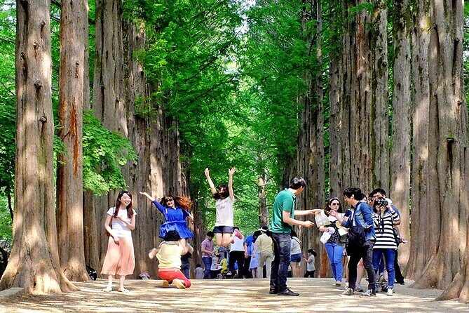 Nami Island, Cable Car, Garden of Morning Calm Panoramic Tour - Key Points