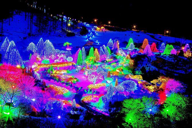 Nami Island, Cable Car, Garden of Morning Calm Panoramic Tour - Who Will Love This Tour?