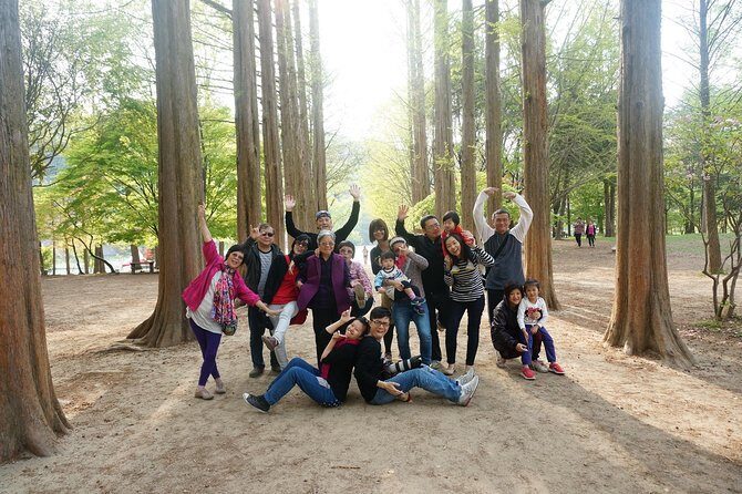 Nami Island from Seoul: Petit France and Garden of Morning Calm - Exploring Koreas Scenic and Cultural Highlights