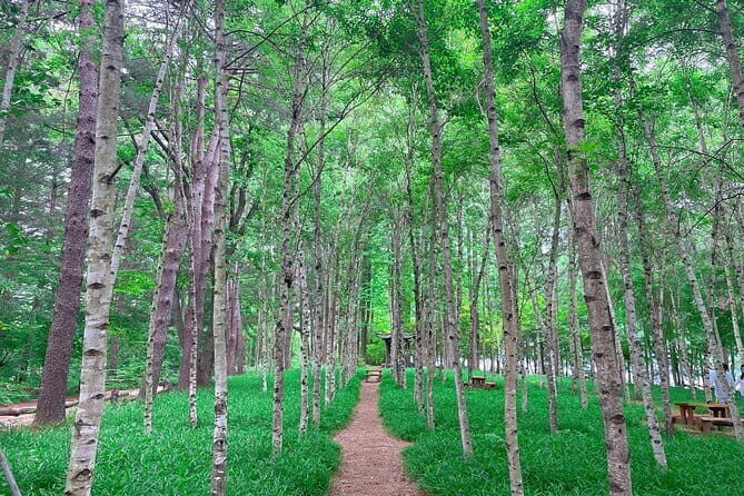 Nami Island, Garden of Morning Calm Tour with Rail Bike Option - The Sum Up: Why This Tour Is a Smart Choice
