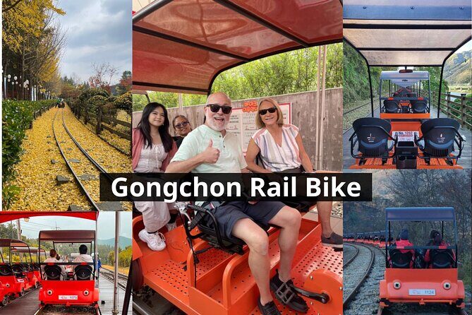 Nami Island & Petite France & Italian Village & Gangchon Rail Bike One-Day Tour - Key Points