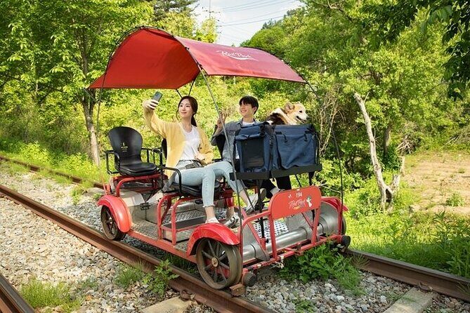 Nami Island & Petite France & Italian Village & Gangchon Rail Bike One-Day Tour - Who Is This Tour Best For?